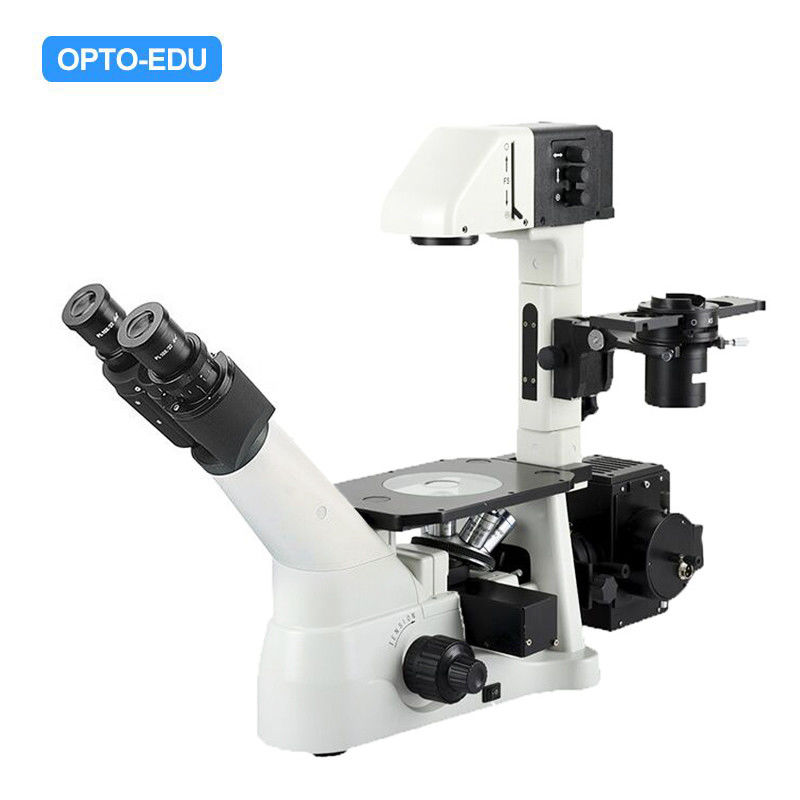 Kohler Illumination Inverted Light Microscope OPTO-EDU A14.0900